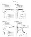 Fig. 10 - METHOD FOR PREPARING NUCLEIC ACID APTAMER