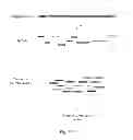Fig. 04 - Methods for creating and identifying functional RNA interference elements