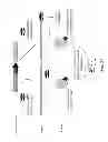 Fig. 20 - Methods for creating and identifying functional RNA interference elements