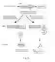 Fig. 28 - Methods for creating and identifying functional RNA interference elements