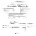 Fig. 31 - Methods for creating and identifying functional RNA interference elements