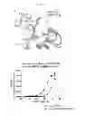 Fig. 28 - Recognition of cellular target binding by a bioactive agent using intracellular bioluminescence resonance energy transfer