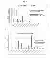 Fig. 33 - Recognition of cellular target binding by a bioactive agent using intracellular bioluminescence resonance energy transfer