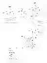 Fig. 01 - Silica Compositions