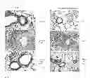 Fig. 05 - Peptide-based peroxidase inhibitors and methods of using same