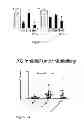Fig. 26 - Peptide-based peroxidase inhibitors and methods of using same
