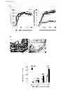 Fig. 03 - CTRP6 which can be used as therapeutic and prophylactic agent for autoimmune diseases