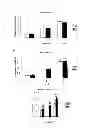 Fig. 06 - CTRP6 which can be used as therapeutic and prophylactic agent for autoimmune diseases