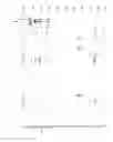 Fig. 07 - Depsipeptide and uses thereof
