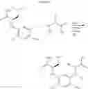 Fig. 22 - Depsipeptide and uses thereof