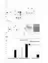 Fig. 06 - PASTEURELLACEAE VACCINES