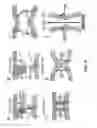 Fig. 09 - Influenza inhibiting compositions and methods