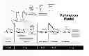 Fig. 01 - METHOD OF INHIBITING PAPILLOMAVIRUS PROLIFERATION AND TREATING PAPILLOMAVIRUS INFECTION