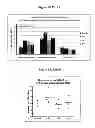 Fig. 20 - Nucleic acids encoding modified relaxin polypeptides