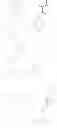 Fig. 29 - Nucleic acids encoding modified relaxin polypeptides