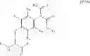 Fig. 41 - Nucleic acids encoding modified relaxin polypeptides