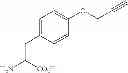 Fig. 67 - Nucleic acids encoding modified relaxin polypeptides