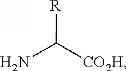 Fig. 70 - Nucleic acids encoding modified relaxin polypeptides