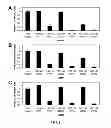 Fig. 02 - Interfering RNA delivery system and uses thereof