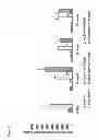 Fig. 06 - Vault Agents for Treating Chronic Kidney Disease