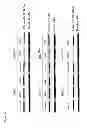 Fig. 07 - Vault Agents for Treating Chronic Kidney Disease
