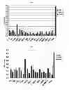 Fig. 02 - Biomarkers for Painful Intervertebral Discs and Methods of Use Thereof
