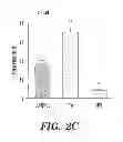 Fig. 09 - Ovarian cancer stem cells and methods of isolation and uses thereof