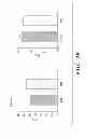 Fig. 12 - Ovarian cancer stem cells and methods of isolation and uses thereof