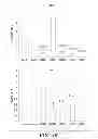 Fig. 17 - Ovarian cancer stem cells and methods of isolation and uses thereof