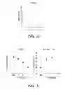 Fig. 28 - Ovarian cancer stem cells and methods of isolation and uses thereof