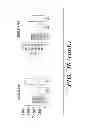 Fig. 31 - Ovarian cancer stem cells and methods of isolation and uses thereof