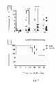Fig. 07 - AGROCYBE AEGERITA LECTIN AAL-2, AND ENCODING GENE THEREOF, PREPARATION METHOD THEREFOR AND APPLICATION THEREOF