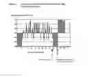 Fig. 02 - Methods of Preventing or Treating Diseases and Conditions Using Complex Carbohydrates
