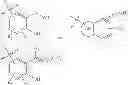 Fig. 976 - MONOMERS CAPABLE OF DIMERIZING IN AN AQUEOUS SOLUTION, AND METHODS OF USING SAME