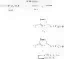 Fig. 45 - Beta-lactamase inhibitors