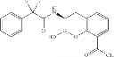 Fig. 49 - Beta-lactamase inhibitors