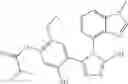 Fig. 35 - COMBINATION THERAPY OF HSP90 INHIBITORY COMPOUNDS WITH CHK INHIBITORS