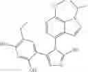 Fig. 43 - COMBINATION THERAPY OF HSP90 INHIBITORY COMPOUNDS WITH CHK INHIBITORS