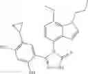 Fig. 71 - COMBINATION THERAPY OF HSP90 INHIBITORY COMPOUNDS WITH CHK INHIBITORS