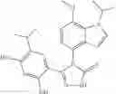 Fig. 77 - COMBINATION THERAPY OF HSP90 INHIBITORY COMPOUNDS WITH CHK INHIBITORS