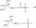 Fig. 16 - Methods for reducing cellular proliferation and treating certain diseases