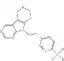 Fig. 407 - Tetracyclic compounds