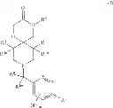 Fig. 02 - Fatty acid synthase inhibitors