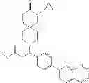 Fig. 22 - Fatty acid synthase inhibitors