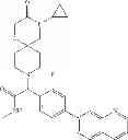 Fig. 38 - Fatty acid synthase inhibitors
