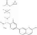 Fig. 50 - Fatty acid synthase inhibitors