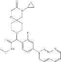 Fig. 51 - Fatty acid synthase inhibitors