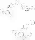 Fig. 124 - IRAK inhibitors and uses thereof