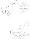 Fig. 137 - IRAK inhibitors and uses thereof