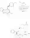Fig. 141 - IRAK inhibitors and uses thereof